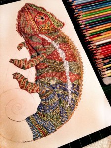 incredibly detailed pencil crayon drawings of iguana and chameleon by ...