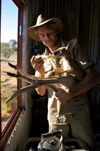 kangaroo dundee chris brolga barns kangaroo sanctuary 2 kangaroo dundee chris brolga barns kangaroo sanctuary (2)