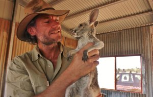 kangaroo dundee chris brolga barns kangaroo sanctuary 3 kangaroo dundee chris brolga barns kangaroo sanctuary (3)