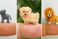 The 25 Cutest Miniature Crochet Animals Ever