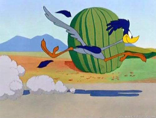 the road runner Chuck Jones 9 Golden Rules for the Coyote and the Road Runner