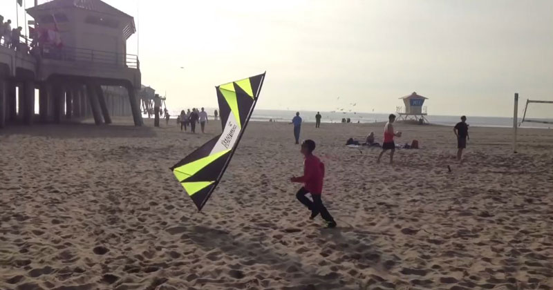 Amazing Kite Flyer Plays a Game of Tag with a Kid on the Beach