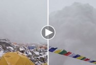 Climber at Everest Base Camp Captures Avalanche Triggered by Saturday’s Deadly Earthquake