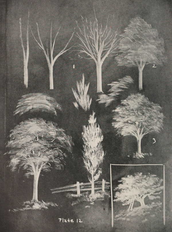 This Book from 1908 is Dedicated to Blackboard Art and it’s Amazing