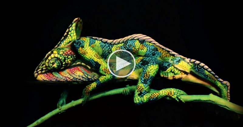 This Chameleon is Actually Two Body Painted Women