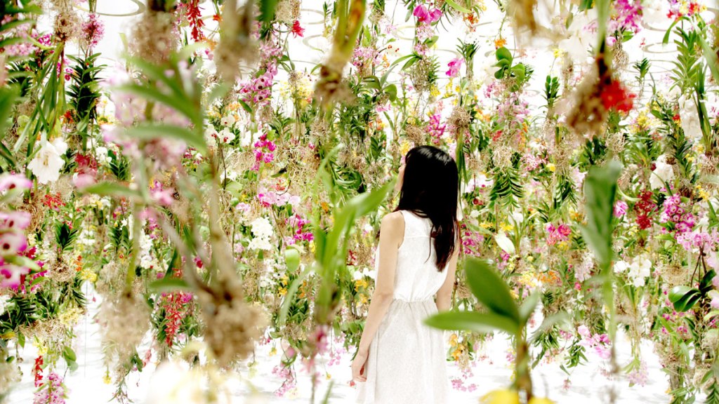 Floating-Flower-Garden_by_teamlab_japan (7)