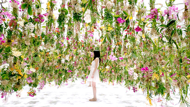 The Floating Garden in Japan Where Flowers Move Skyward as you Approach