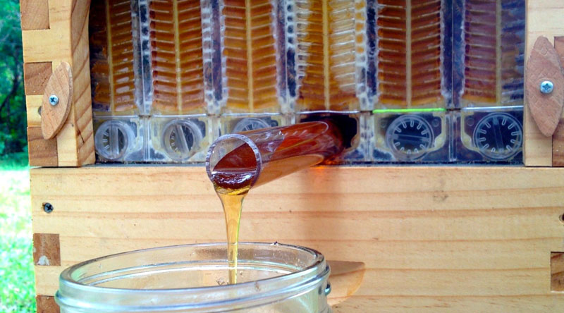 flow hive honey on tap (6)