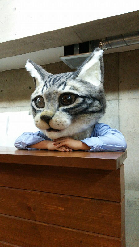 giant cat head you can wear japan (3)