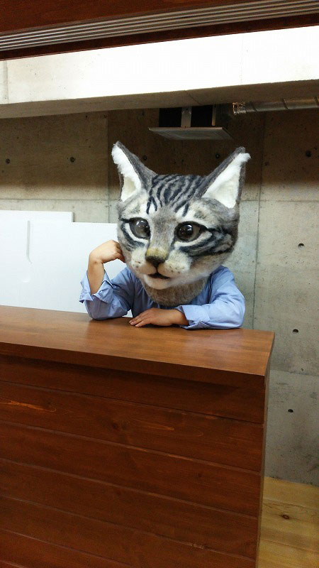 giant cat head you can wear japan (4)