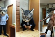 Art Students in Japan Made a Giant Cat Head and it’s Glorious
