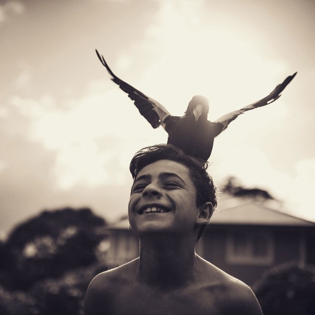 penguin the magpie on instagram by cameron bloom (2)