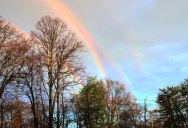 Picture of the Day: Rare Quadruple Rainbow Spotted