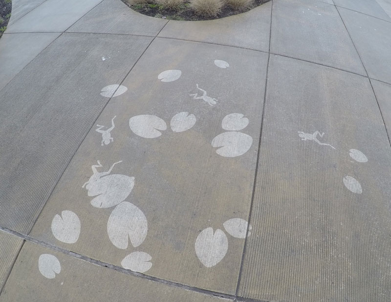 sidewalk art only appears when it rains peregrine church rainworks (12)
