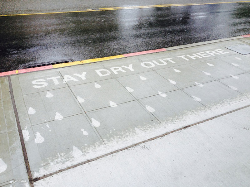 sidewalk art only appears when it rains peregrine church rainworks (6)