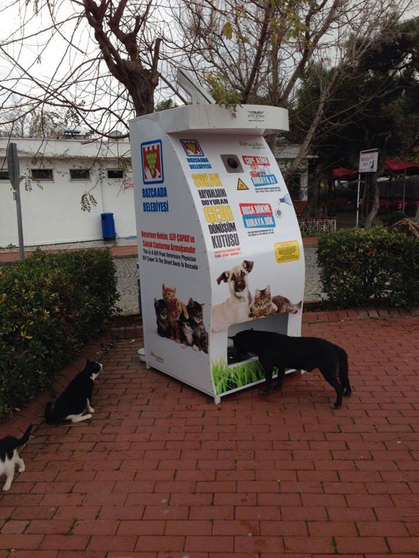 Vending Machine Feeds Stray Animals in Exchange for Recycled Bottles (2)
