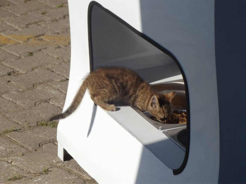 Vending Machine Feeds Stray Animals in Exchange for Recycled Bottles (9)