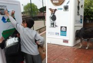 This Machine Feeds Stray Animals in Exchange for Recycled Bottles