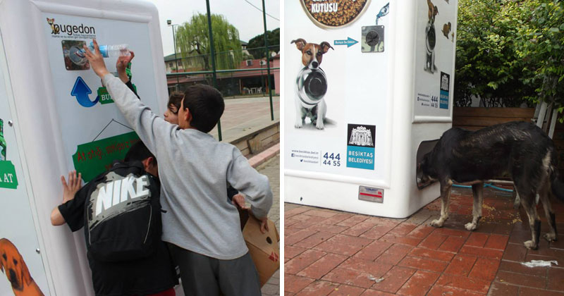 This Machine Feeds Stray Animals in Exchange for Recycled Bottles