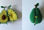 Someone Made an Avocado Plush Toy and It’s Adorable