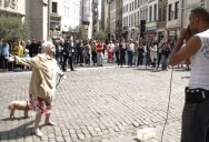 Lady Walking Her Dog Dances Her Heart Out to this Beatboxing Street Performer
