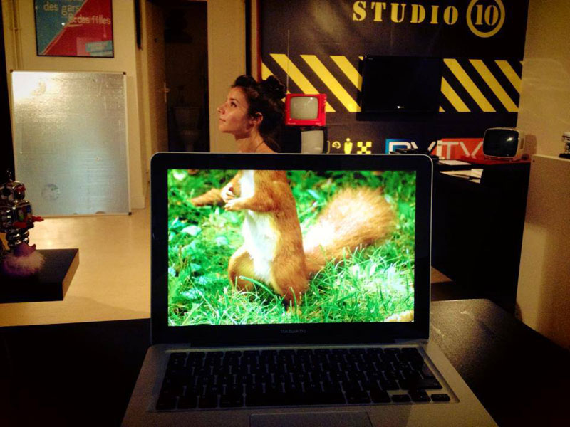Coworkers-Add-their-Heads-to-Animals-on-Desktop Backgrounds (10)