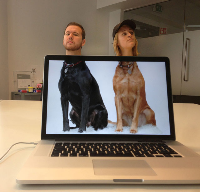 Coworkers-Add-their-Heads-to-Animals-on-Desktop Backgrounds (11)