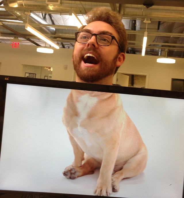 Coworkers-Add-their-Heads-to-Animals-on-Desktop Backgrounds (23)