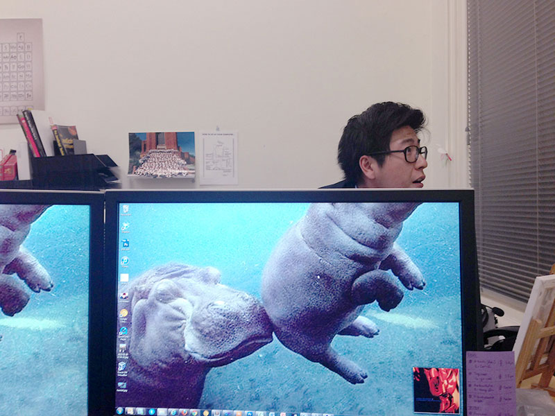 Coworkers-Add-their-Heads-to-Animals-on-Desktop Backgrounds (30)