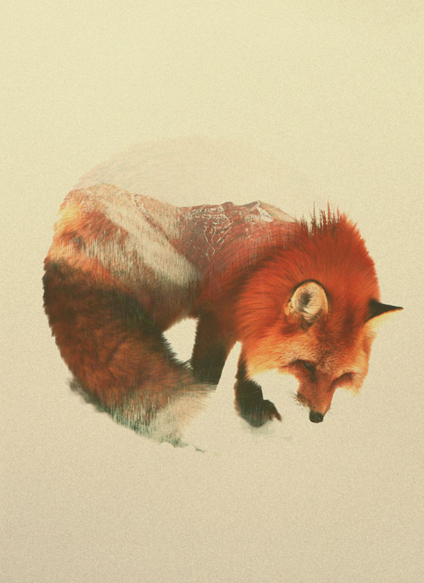 double exposure animal portraits by andreas lie (1)