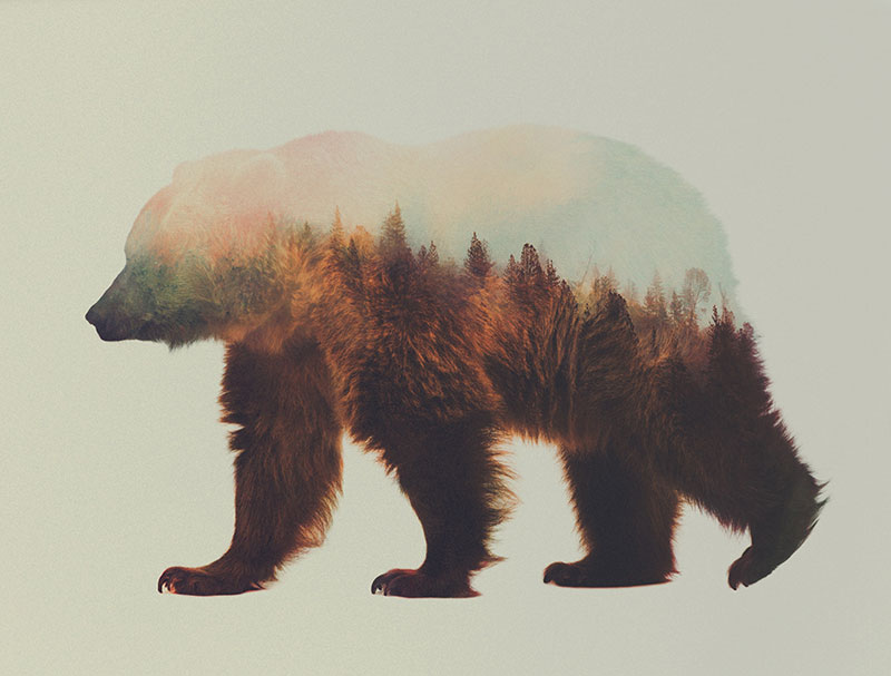 double exposure animal portraits by andreas lie (12)