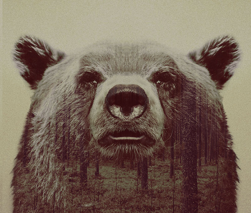 double exposure animal portraits by andreas lie (3)