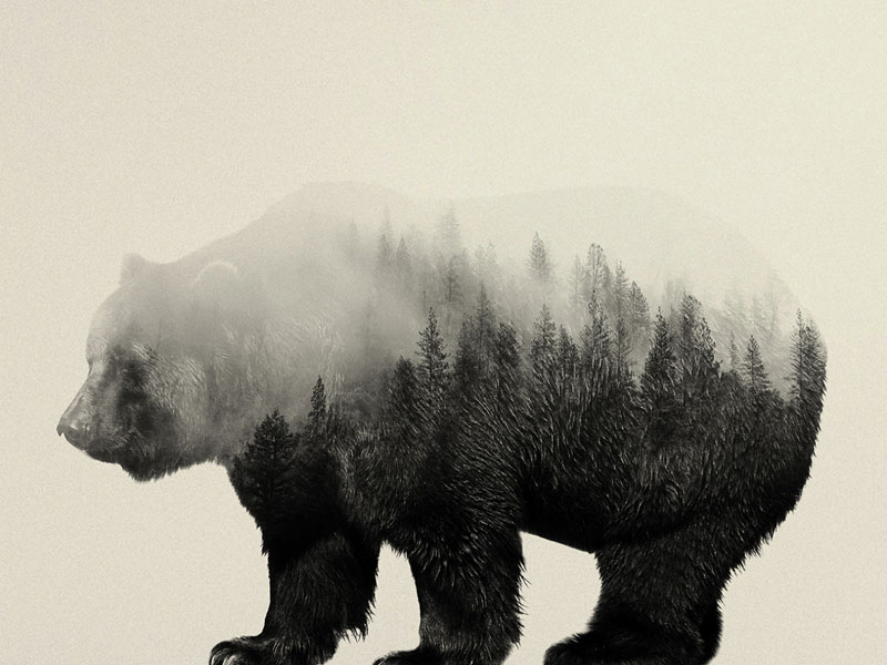double exposure animal portraits by andreas lie (4)