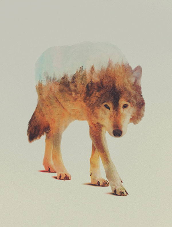 double exposure animal portraits by andreas lie (7)