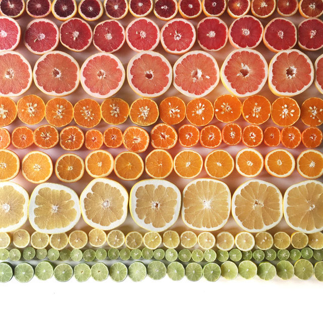 food gradients by brittany wright (7)