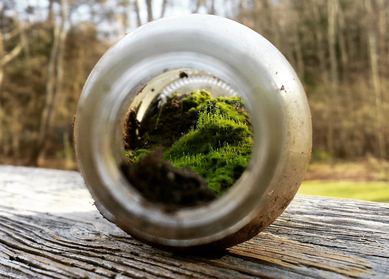 Picture of the Day: A Miniature World Inside a Bottle
