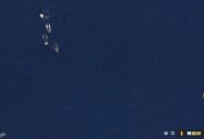 Picture of the Day: Pod of Whales on Google Maps