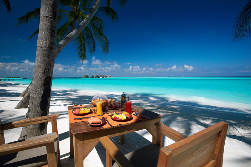tripadvisor 2015 hotel of the year Gili Lankanfushi Maldives (18)