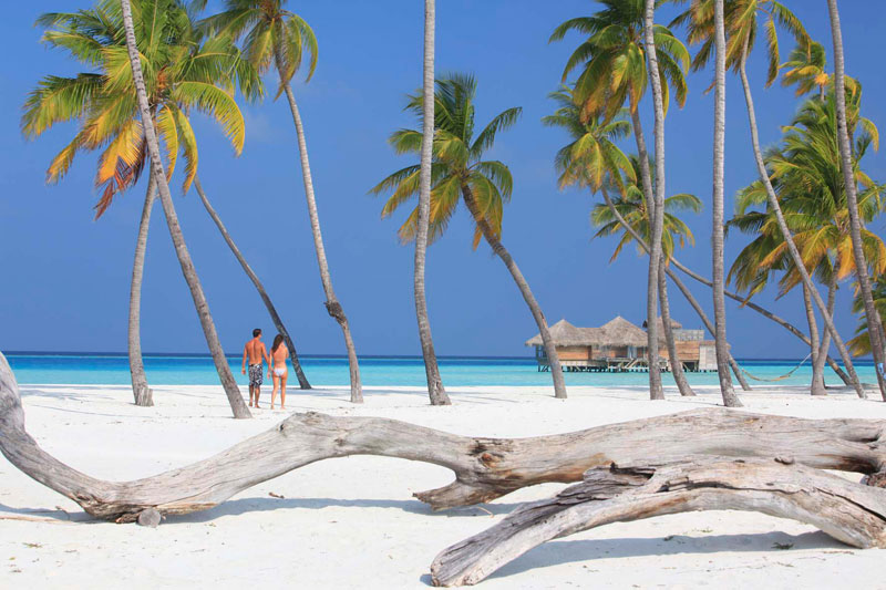 tripadvisor 2015 hotel of the year Gili Lankanfushi Maldives (27)