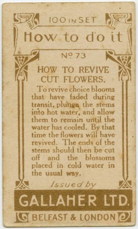 vintage life hacks from the 1900s (74)