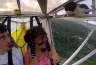 Chill Cat Sneaks Onto Wing of Glider Plane After Pilot’s Pre-Flight Check