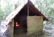 Guy Builds Impressive Hut in the Middle of the Woods with His Bare Hands