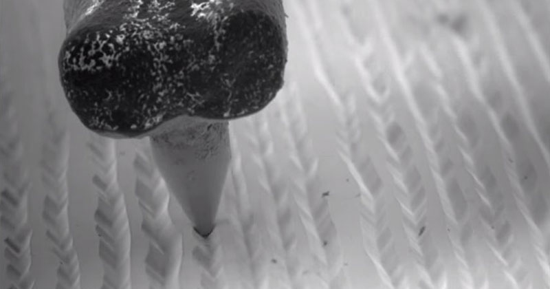 Playing Vinyl Under an Electron Microscope