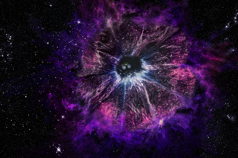 Picture of the Day The Galaxy Inside a Flower » TwistedSifter