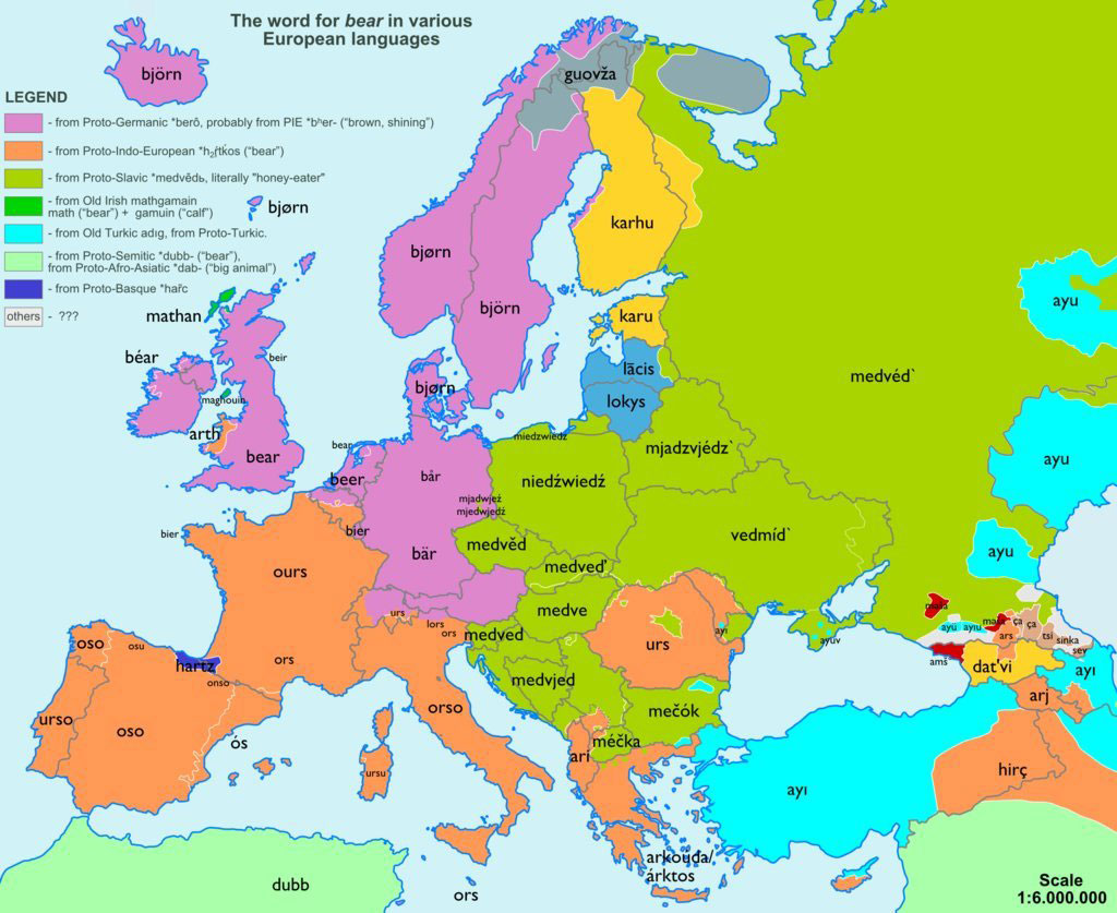the word for bear in various european languages 32 Maps That Will Teach You Something New About the World