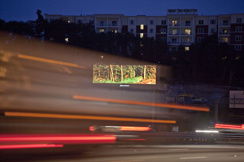 brian kane Buys Digital Billboard Space to Display Nature Photos (2)