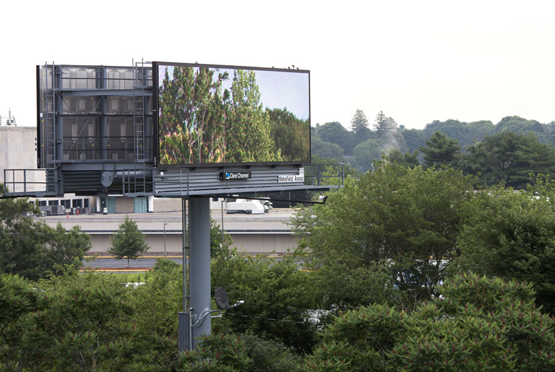 brian kane Buys Digital Billboard Space to Display Nature Photos (4)