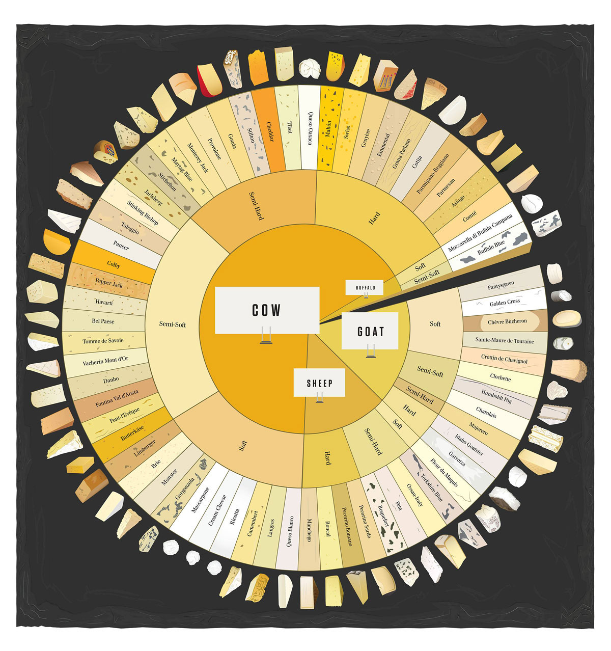 Cheese Wheel Chart for Cheese Lovers [Infographic] » TwistedSifter