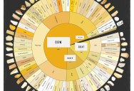 Cheese Wheel Chart for Cheese Lovers [Infographic]