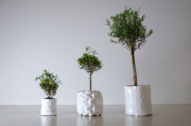 flower pot grows as plant does growth by studio ayaskan (3)
